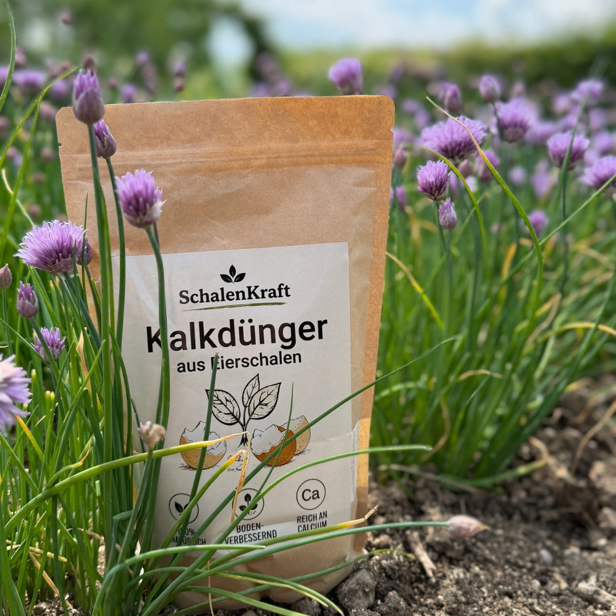 Kalkdünger aus Eierschalen